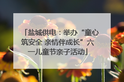 盐城供电：举办“童心筑安全 亲情伴成长”六一儿童节亲子活动